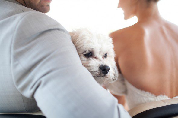 Bunn Salarzon - dog sits between bride and groom
