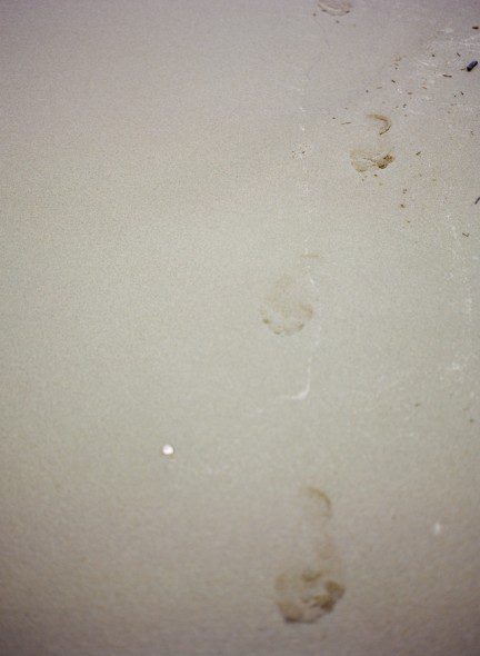Bunn Salarzon - footprints in the sand