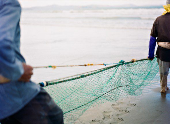 Bunn Salarzon - green fishing net